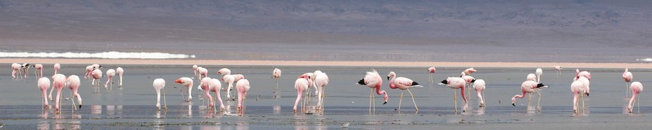 Portland Therapy Services, LLC